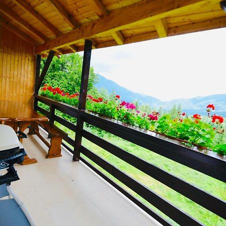 Nature House Predeal Luaran gambar