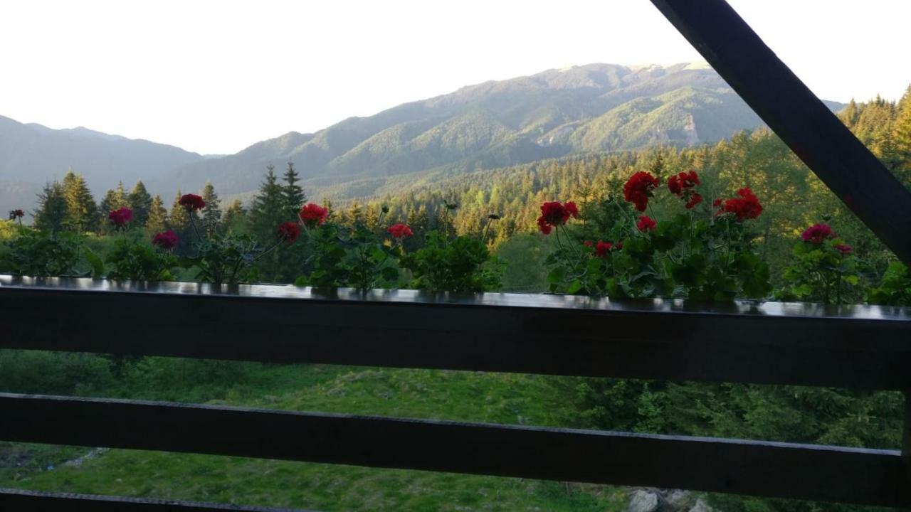 Nature House Predeal Luaran gambar