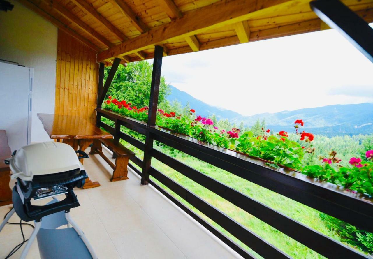 Nature House Predeal Luaran gambar