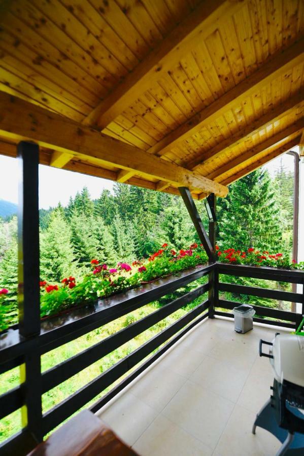 Nature House Predeal Luaran gambar