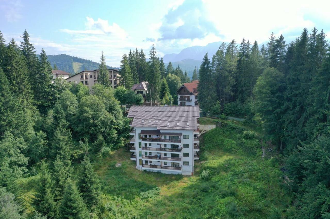 Nature House Predeal Luaran gambar